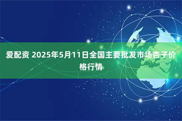 爱配资 2025年5月11日全国主要批发市场杏子价格行情